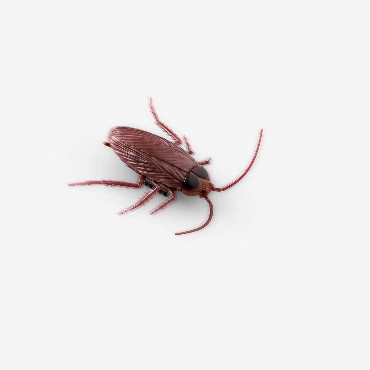 TOY HALLOWEEN MOVING COCKROACH